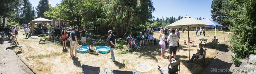 2017 Corgi Picnic