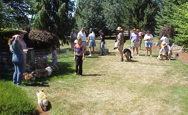 Picnic Group